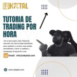 Tutoria por hora