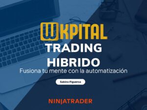 Introduccion al metodo hibrido