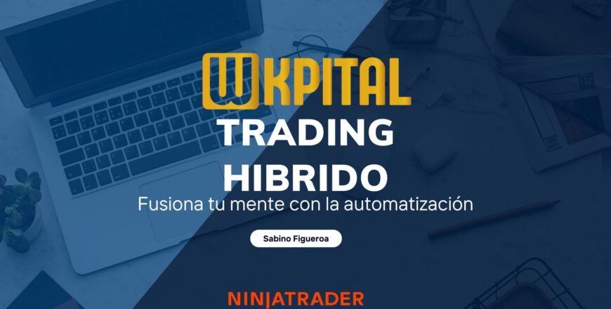 Introduccion al metodo hibrido